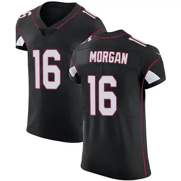 Nike James Morgan Men's Elite Arizona Cardinals Black Alternate Vapor Untouchable Jersey
